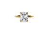 The Remy Ring (2.75 Carat)