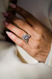 The Priscilla Band (6 Carat)