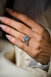 The Priscilla Band (6 Carat)