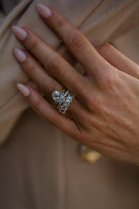 The Priscilla Band (6 Carat)